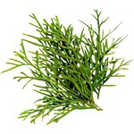 Borneol Crystal Manufacturer - High Purity Organic Intermediate Free Sample Timely Delivery