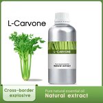 Carrot Seed Oil Manufacturer - Organic for Skin Care Bulk Manufacturer