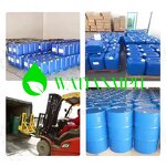 Menthol Crystal Manufacturer - Hot Selling CAS 89-78-1 99% Mint