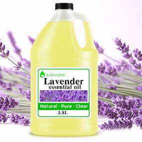 Lavender Essential Oil Manufacturer - Organic 100% Pure for Cosmetic Grade Wholesale