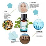 Eucalyptus Oil Manufacturer - Pure Natural Organic for Mosquito Repellent Free Sample