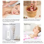 Peppermint Essential Oil Manufacturer - Pure for Aromatherapy Cosmetics Air Freshener Factory