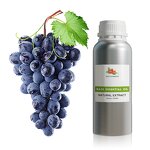 Carrot Seed Oil Manufacturer - Distilled Essential Oil for Skin Care Wholesale Supplier