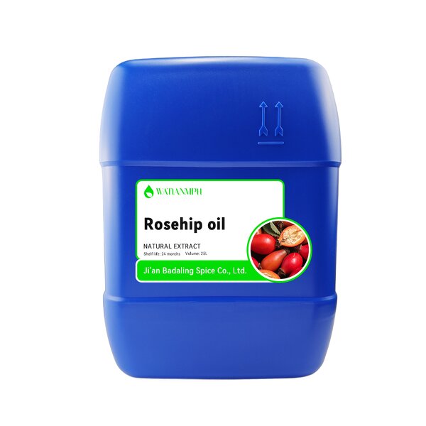 Rosehip Seed Oil Manufacturer - Cold Pressed for Face Skin Hair Nail Wholesale