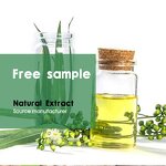 Carvone Oil Manufacturer - China Manufacture 99% Natural for Food Flavor CAS 99-49-0