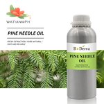 Pine Needle Oil Manufacturer - 100% Organic for Aroma Diffuser MOQ 1Kg