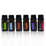 Olive Oil Manufacturer - Light Pressed Extra Virgin for Cooking Dressing Wholesale