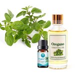 Eucalyptus Oil Manufacturer - Pure Natural Organic for Mosquito Repellent Free Sample