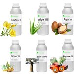 Safflower Oil Manufacturer - Whitening Aroma 10ml for Skin Treatment OEM Includes Eucalyptus