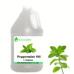 Ginger Hydrosol Manufacturer - 100% Pure Organic for Body Skincare OEM Tea