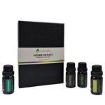 Diffuser Essential Oil Manufacturer - 10ml Aroma for Sleep Spa Candle Bulk OEM