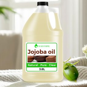 Jojoba Oil Manufacturer - Cold Pressed for Skin Moisturize Bulk Factory