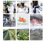 Essential Oil Manufacturer - Private Label Pure Natural for Hair Growth Bulk