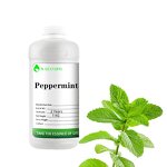 Peppermint Essential Oil Manufacturer - Organic Steam Distilled for Mosquito Repellent Wholesale