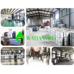 Menthol Crystal Manufacturer - Hot Selling CAS 89-78-1 99% Mint