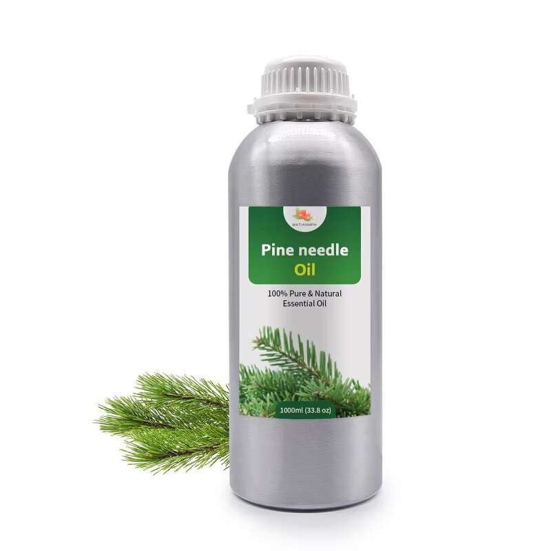 Pine Needle Oil Manufacturer - 100% Organic for Aroma Diffuser MOQ 1Kg