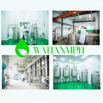 Peppermint Essential Oil Manufacturer - Pure for Aromatherapy Cosmetics Air Freshener Factory