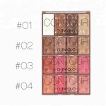 Eyeshadow Palette Manufacturer - Brand Wholesale O.two.o Long Lasting High Pigment Luxury Gold 4 Colors