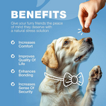 Pet Calming Soft Chews Manufacturer - Wholesale Organic Natural for Anxiety Pain Relief & Joint Immune Support