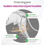 Pet Hip & Joint Soft Chews Manufacturer - Private Label Natural with Hemp Oil & Chondroitin