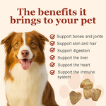 Chewable Pet Supplement Vitamins Manufacturer - OEM High Quantity Tablets for Dog Health Care