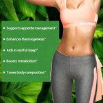 Fat Burner Capsules Manufacturer - OEM Slim Plus Appetite Suppressant with Garcinia Cambogia Extract