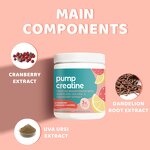 Creatine Monohydrate Powder Supplement Manufacturer - OEM Private Label Sugar-Free with Dandelion Extract