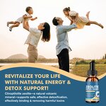 Zeolite Detox Liquid Drops Manufacturer - OEM for Kids & Adults with Pure Vitamin B12 for Cleanse