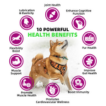 Dog Hip and Joint Supplements Manufacturer - OEM/ODM Service Chew Treats with Chewable Glucosamine