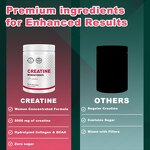 Creatine Monohydrate Powder Manufacturer - Hot Sales with Collagen BCAA 10g Protein for Pre-Workout