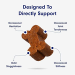 Pet Hip & Joint Soft Chews Manufacturer - Private Label Natural with Glucosamine for Joint Mobility