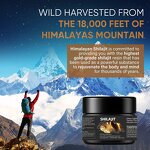 Himalayan Shilajit Resin Manufacturer - Premium Natural Mineral Supplement Rich in Fulvic Acid