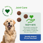 Pet Joint Care Supplements Manufacturer - Private Label EU Approved for Senior Dogs with Hyaluronic Acid
