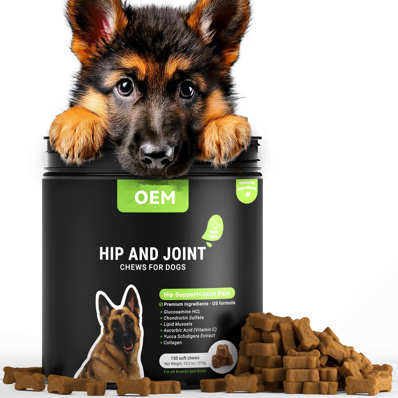 Pet Hip Joint Pain Relief Chews Manufacturer - Private Label Soft Chews for Dogs and Cats Custom Treats