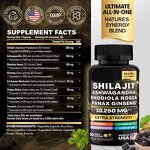 Himalayan Shilajit Resin Capsules Manufacturer - OEM with Ashwagandha Turmeric Mushroom for Immune GMP