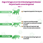 Pet Hip & Joint Soft Chews Manufacturer - Private Label Natural with Hemp Oil & Chondroitin