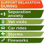 Hemp Calming Dog Treats Manufacturer - Soft Chews for Anxiety Stress Relief Pet Supplement