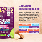 Ashwagandha Mushroom Gummy Bags Manufacturer - OEM Organic Vegan with Lion's Mane for Brain Support
