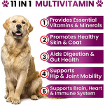 Dog Multivitamin Chews Manufacturer - 11 in 1 with Glucosamine for Hip Joint Mobility & Pet Health Care