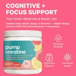 Creatine Monohydrate Powder Supplement Manufacturer - OEM Private Label Sugar-Free with Dandelion Extract