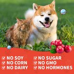 Cranberry Liquid Drops for Pets Manufacturer - OEM Extract for Bladder Kidney Digestive UTI Treatment