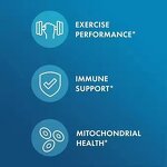 Molecular Hydrogen Tablets Manufacturer - Custom H2 for Adults with Elemental Magnesium for Cellular Energy