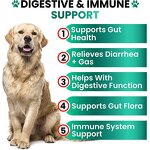 Probiotics Soft Chews for Pets Manufacturer - Private Label Chicken-Flavored for Gut Health & Immune System