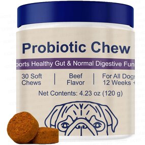 Dog Probiotics Soft Chews Manufacturer - OEM for Gut & Digestive Health Immune Support