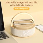 Speaker Manufacturer - Wireless Fast Charging - Night Light Sunrise Alarm Clock LED Lamp