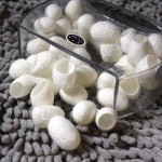 Face Scrub Pad Supplier - Natural Cocoon Finger Exfoliate