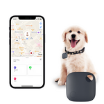 Mini Smartag GPS Tracker Manufacturer - Wholesale Anti-Lost Compass Remote Control Fitness