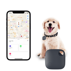 Mini Smartag GPS Tracker Manufacturer - Wholesale Anti-Lost Compass Remote Control Fitness