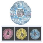 EVA Shower Cap Manufacturer - Wholesale Reusable Waterproof Elastic Satin