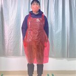 Plastic Apron Manufacturer - Transparent Kitchen with Rabbit Custom Logo